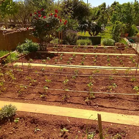 Apartmán Guberina *