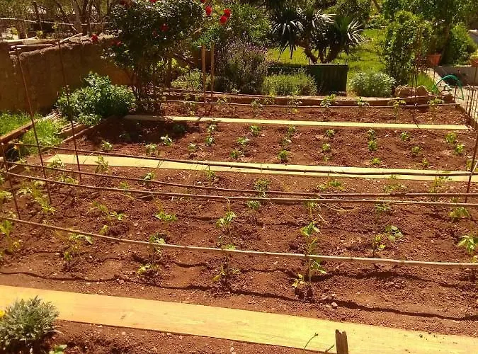 Appartement Guberina *